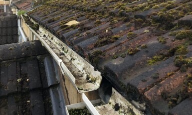Gutter repair and fascia cleaning in Bath